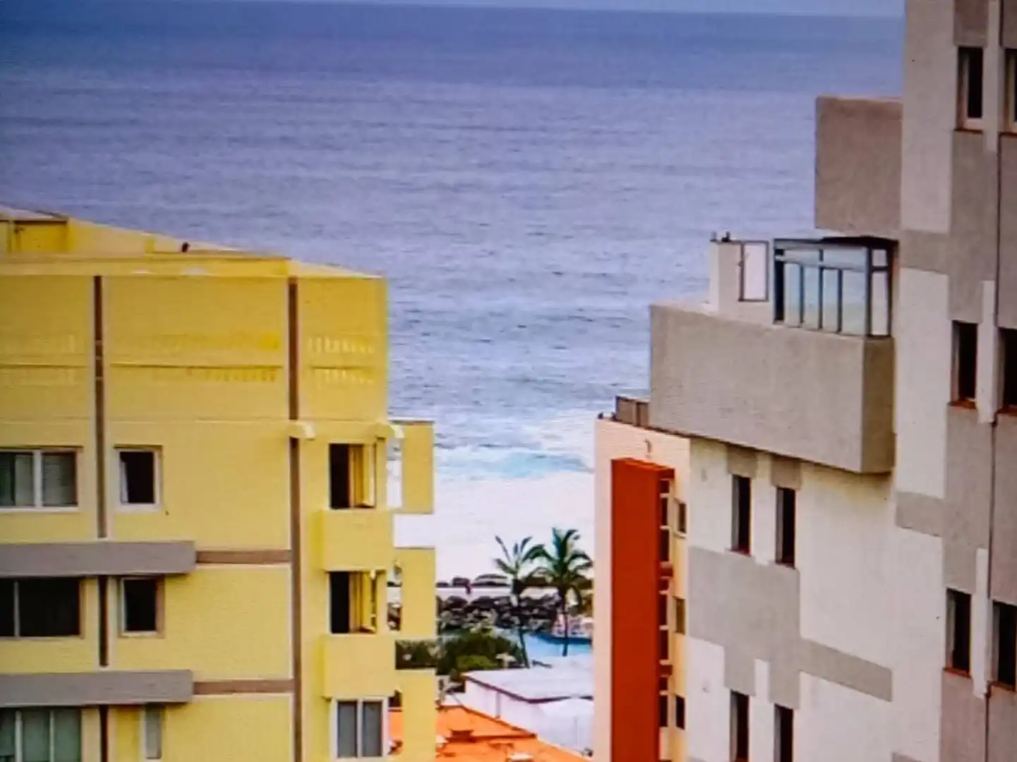 Estudio en  Avenida Familia de Betancourt y Molina 30A - Foto 19