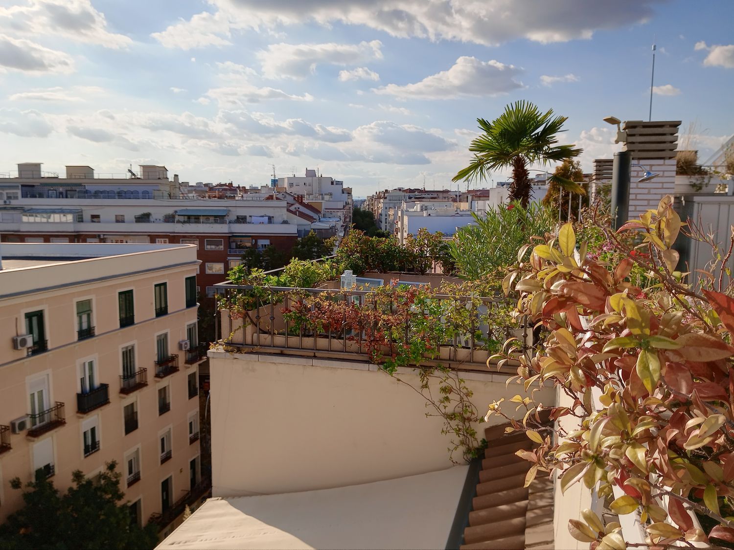 Ático en paseo Marqués de Zafra, 5 - Foto 6