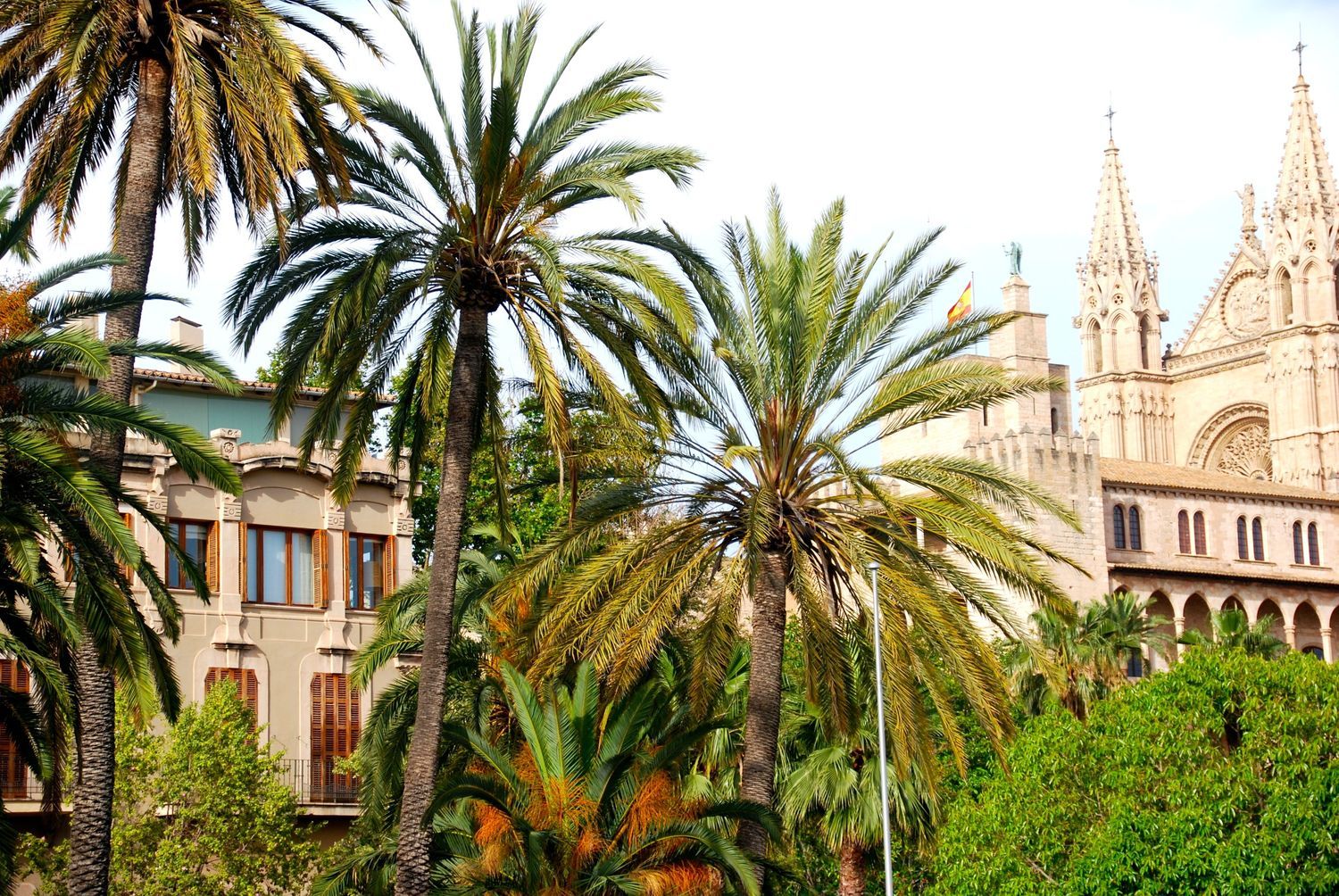 Piso en avenida d'Antoni Maura, 28
