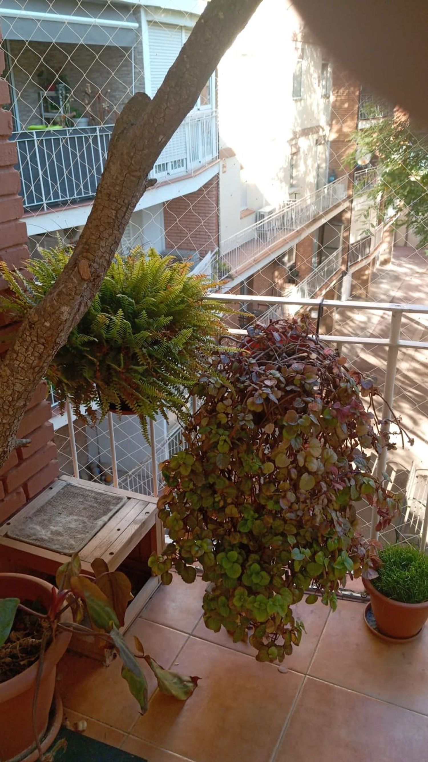 Piso en calle Francesc Layret, 59 - Foto 4