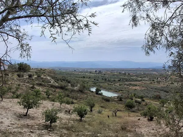Cortijo en Los Patricios s/n - Foto 7