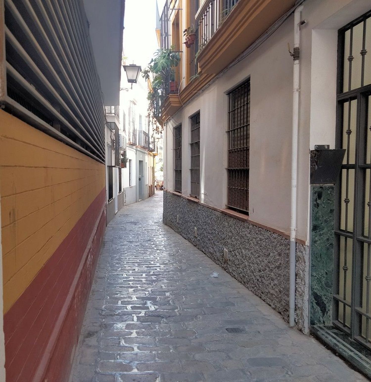 Piso en calle Tintes, 10 - Foto 1
