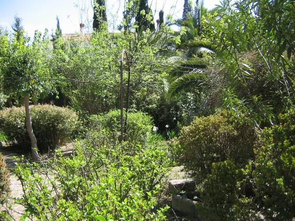 Casa de pueblo en Calle Cerrico de las Moyas, 34 - Foto 35