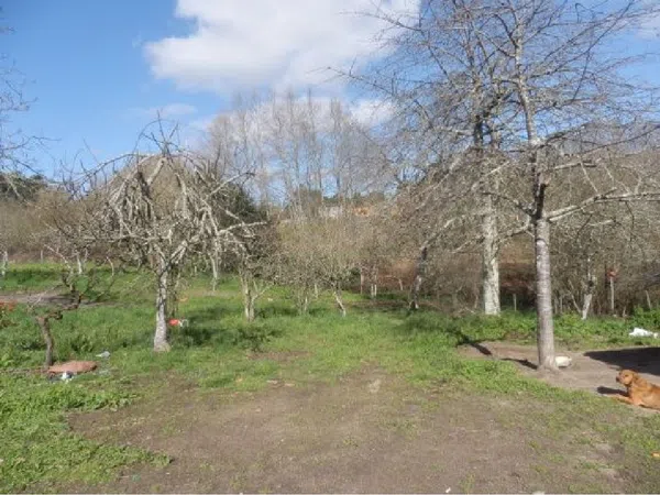 Casa de pueblo en Aldea Carballeira, 1 - Foto 5