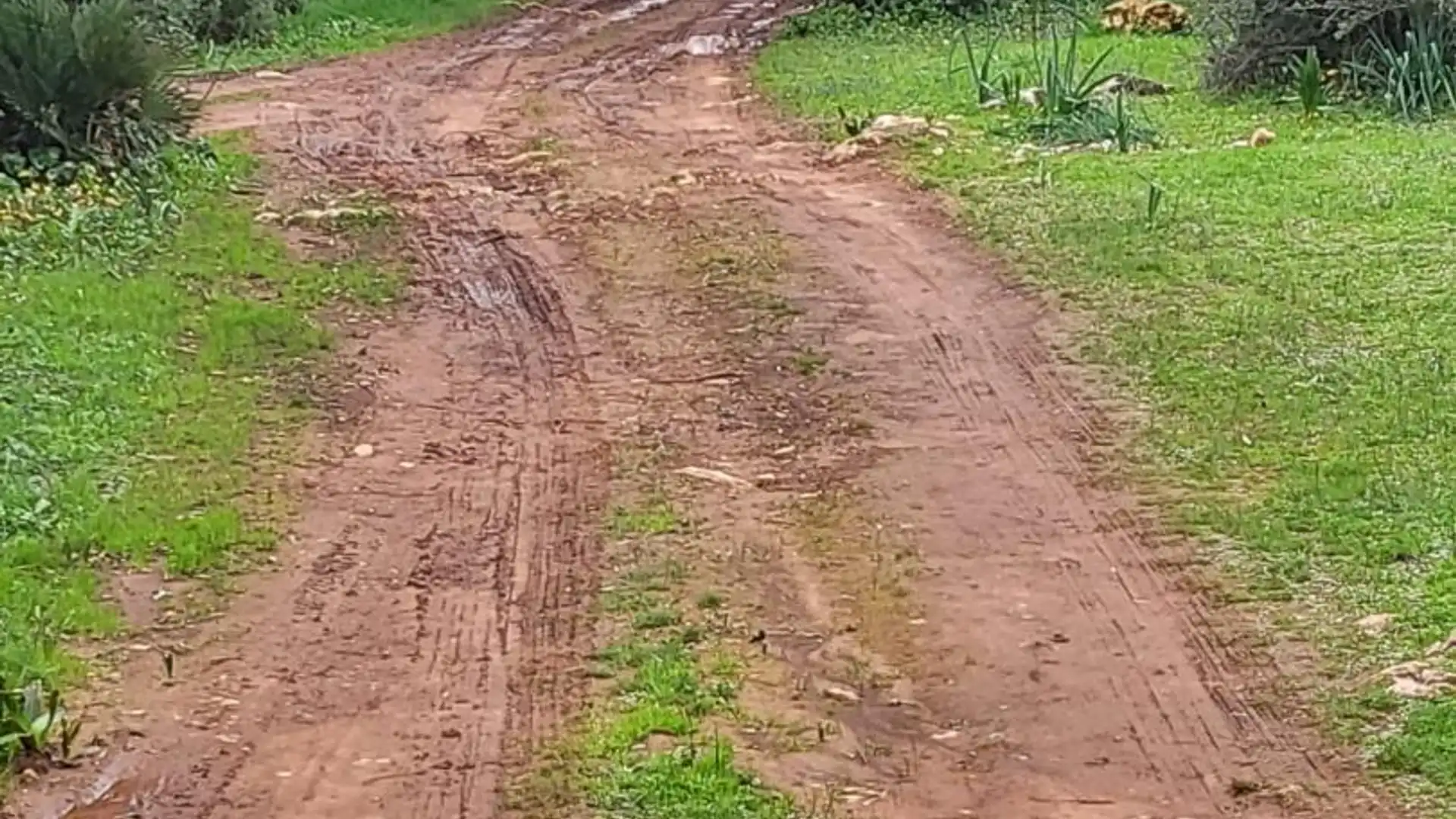 Finca rústica en  Calle Héctor Villa-Lobos 5 - Foto 10