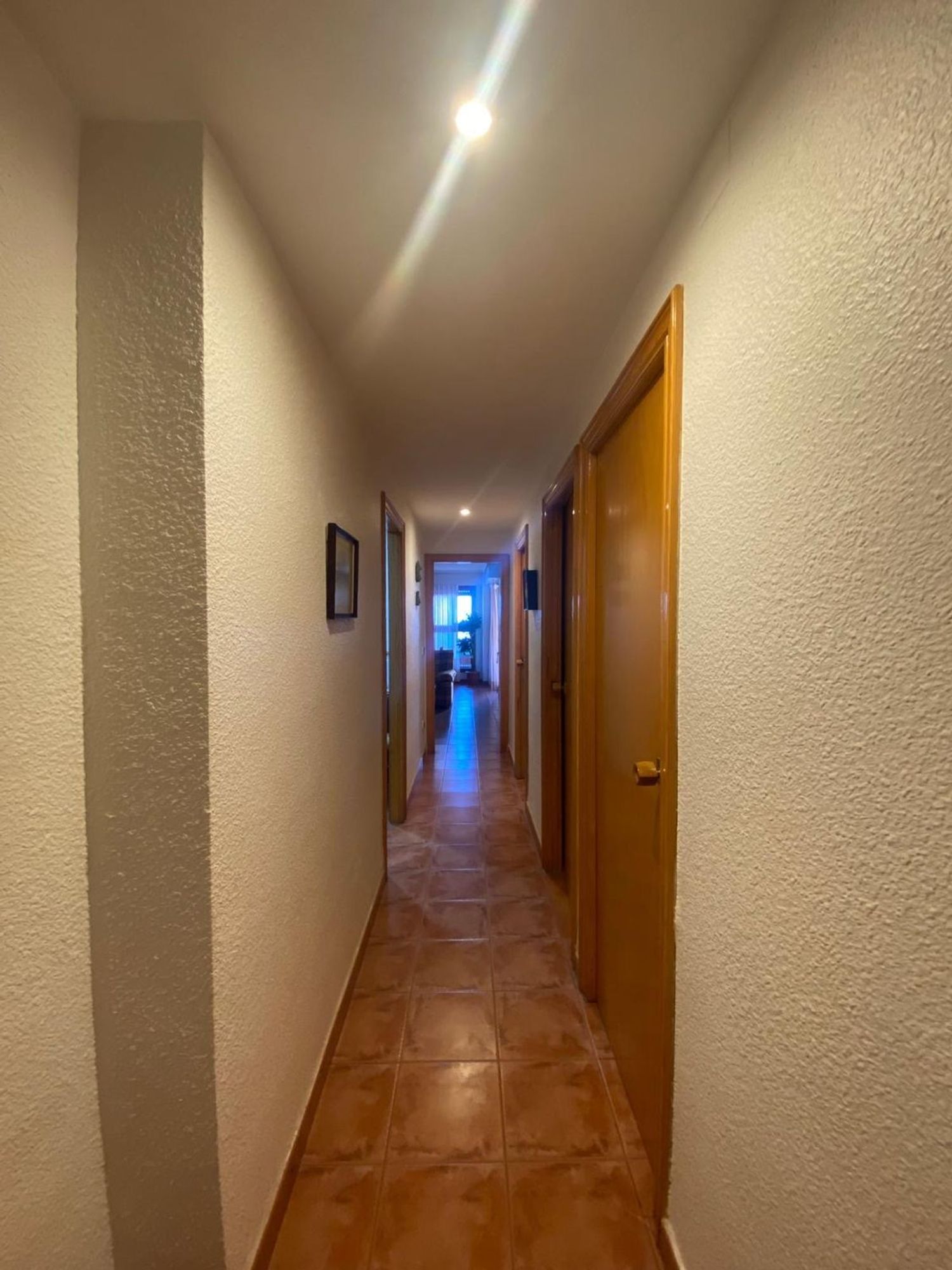 Piso en Avenida San Bartolome Tir, 44 n, Arenales del Sol, Arenales del Sol - Foto 4