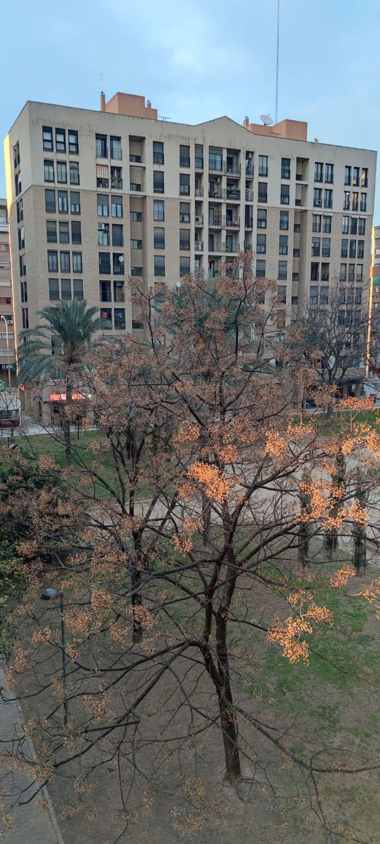 Piso en calle del Poeta Josep Cervera i Grífol, 4