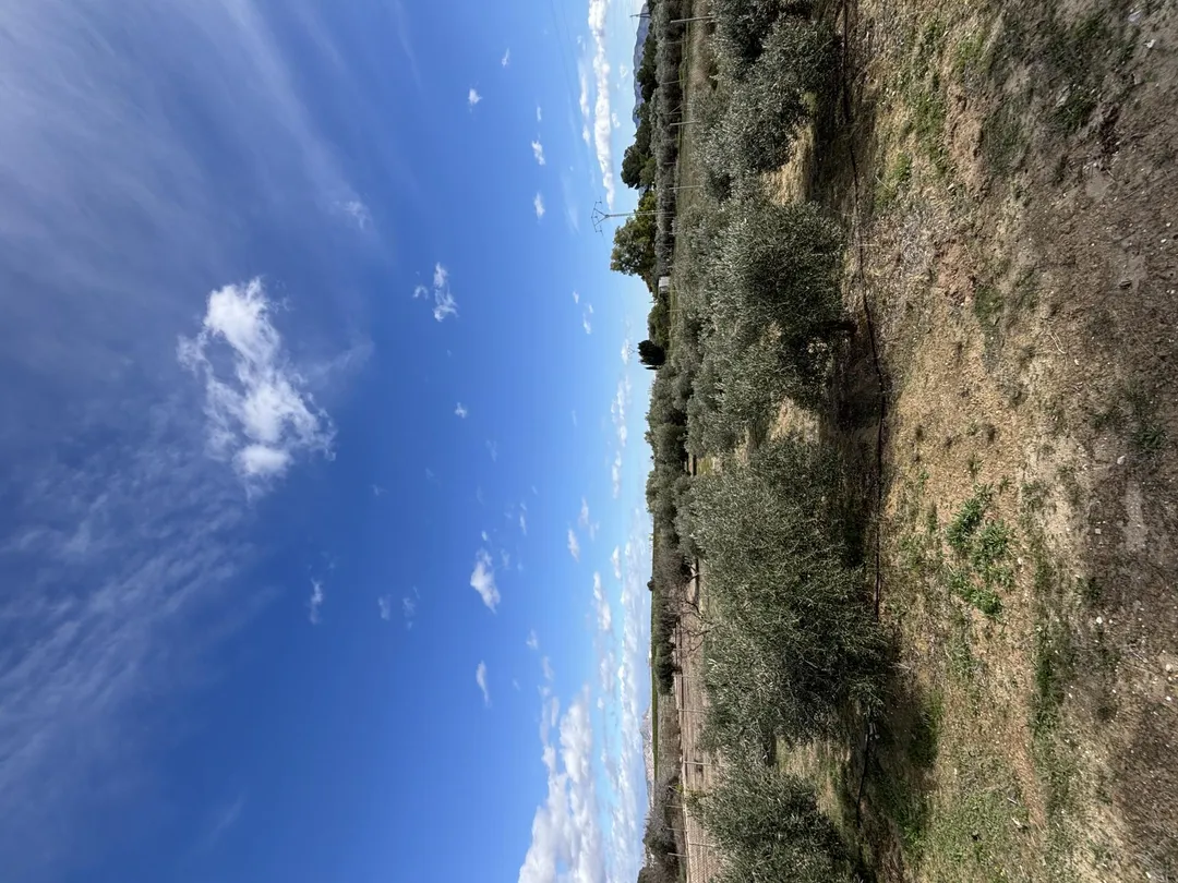 Finca rústica en  Calle Fc Ladrillo 11 - Foto 18