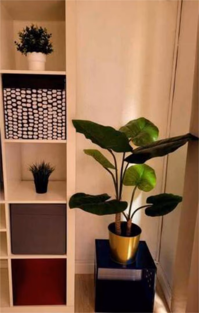 Piso en Centro - Foto 6