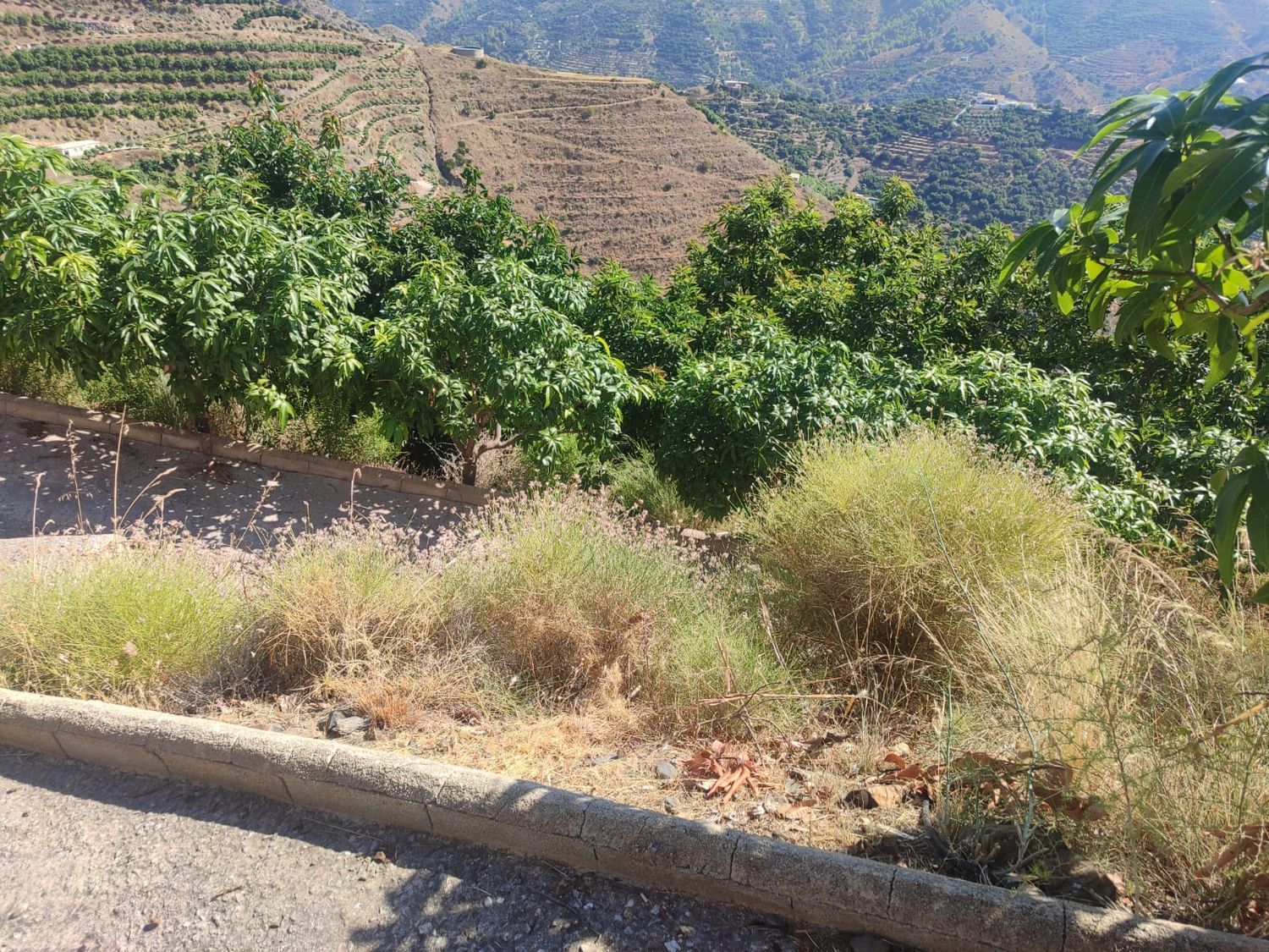 Cortijo en Cortijo en Camino de Río Seco, 36, El Rescate - Río Seco, El Rescate - Río Seco - Foto 32