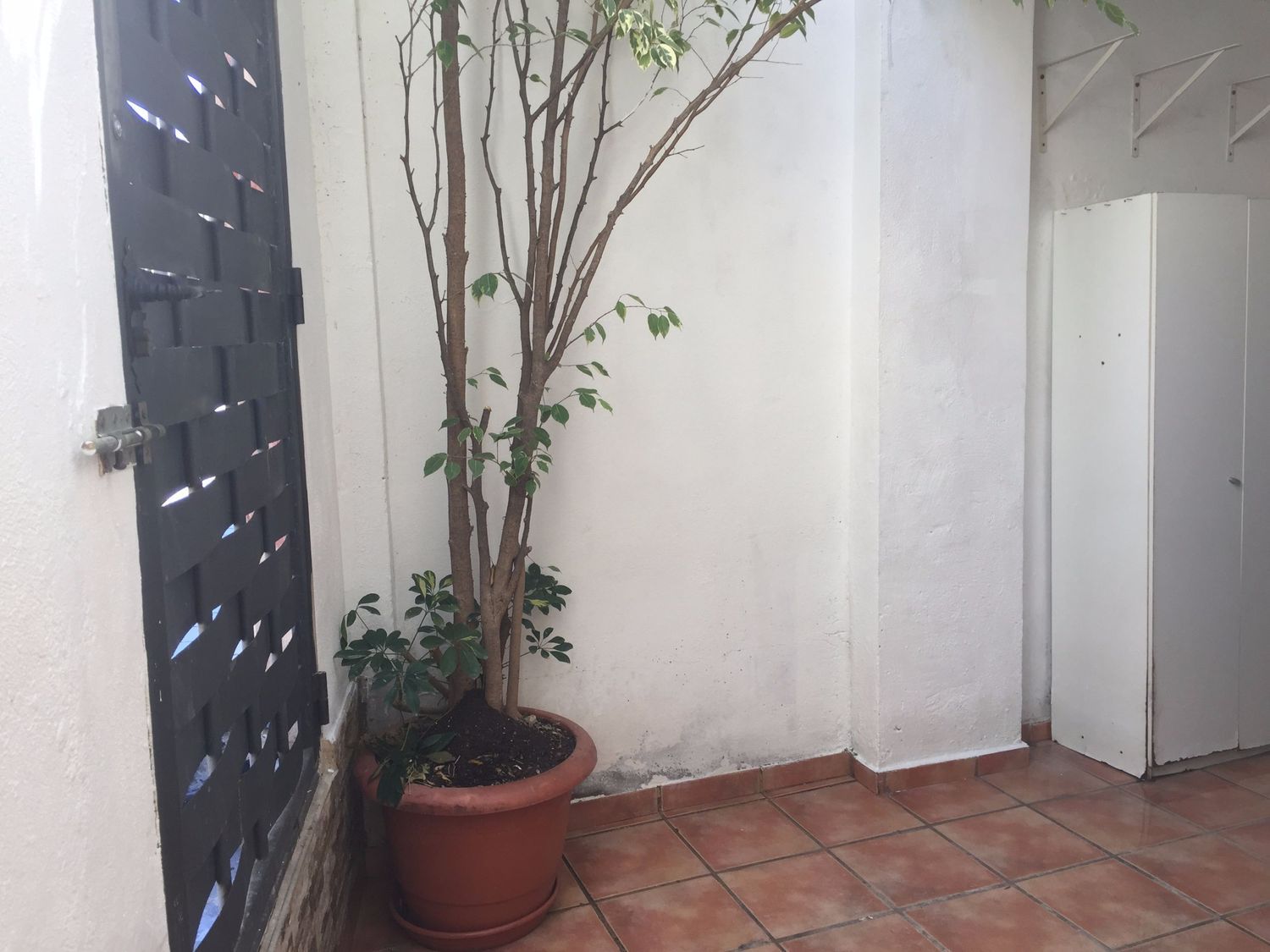 Estudio en calle de Francesc de Bellvís, 33 - Foto 7