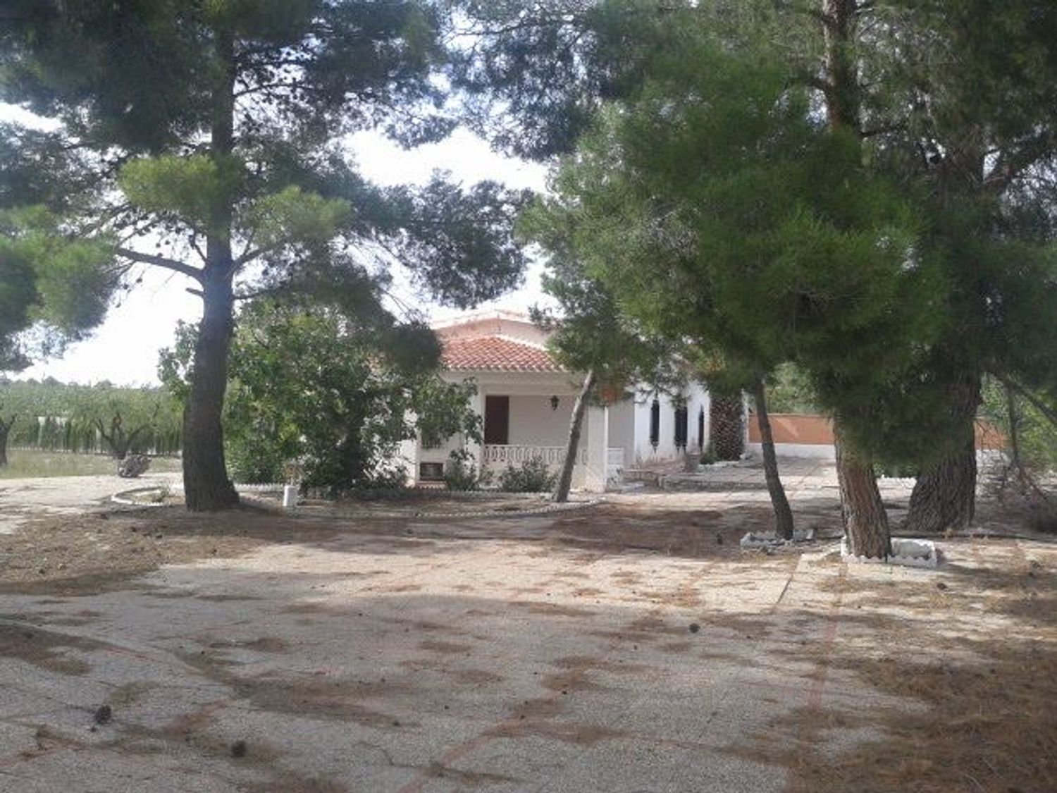 Finca rústica en Rm-a14 s/n - Foto 2