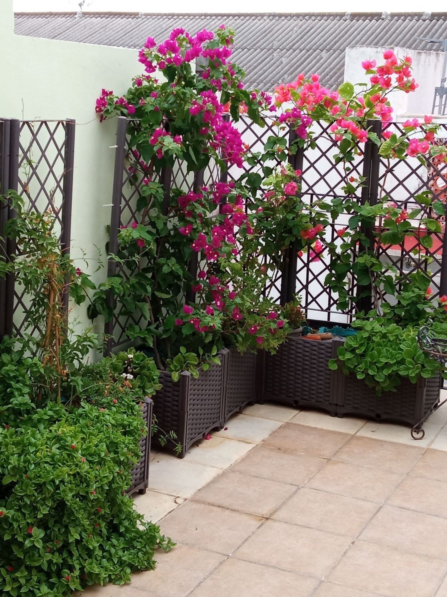 Casa de pueblo en Ador - Foto 16