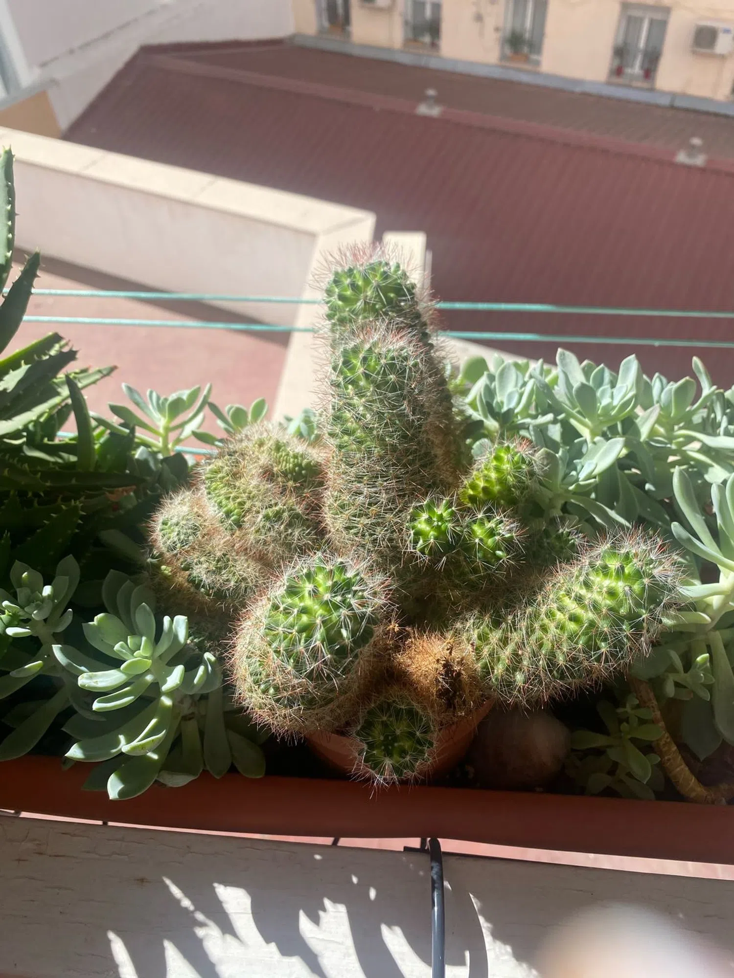 Piso en calle de Cardeñosa, 69 - Foto 24