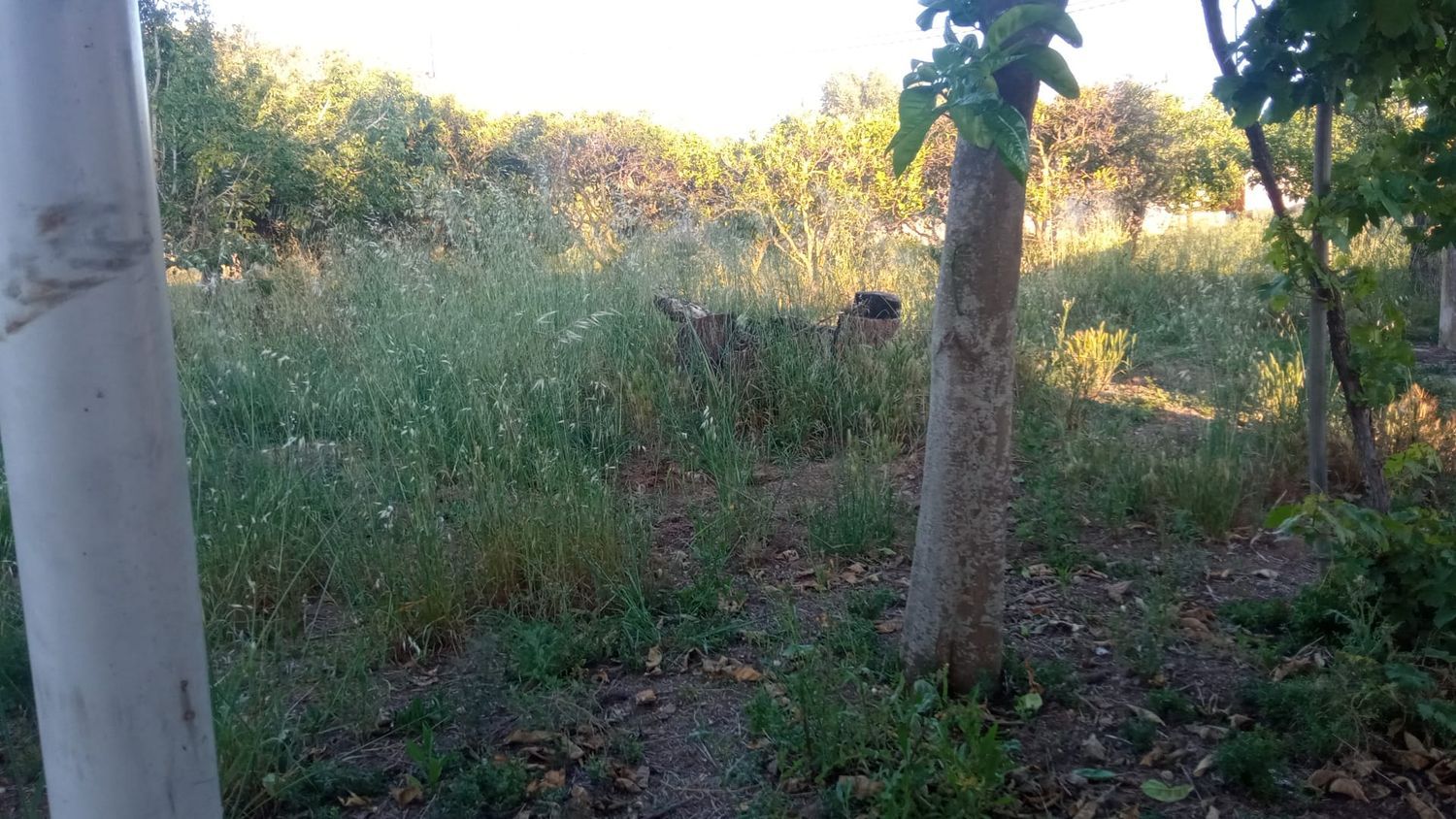 Finca rústica en Ma-3440 s/n, Zona periurbana, Zona periurbana - Foto 13