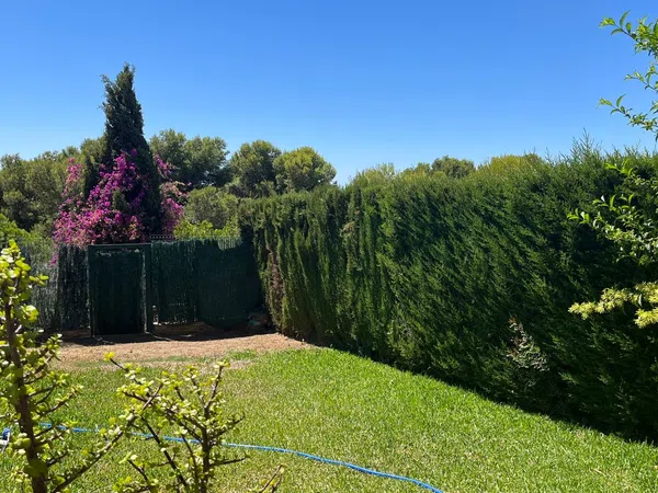Chalet adosado en Avenida de los Frutales, 20, Seghers, Seghers - Foto 15