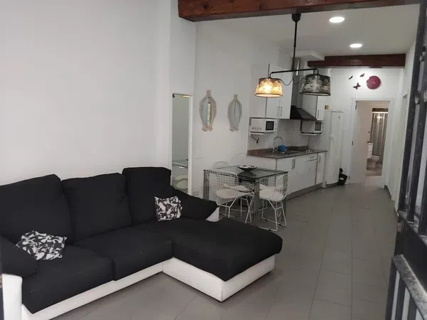 Piso en Calle de Borrull, El Botànic - Foto 1