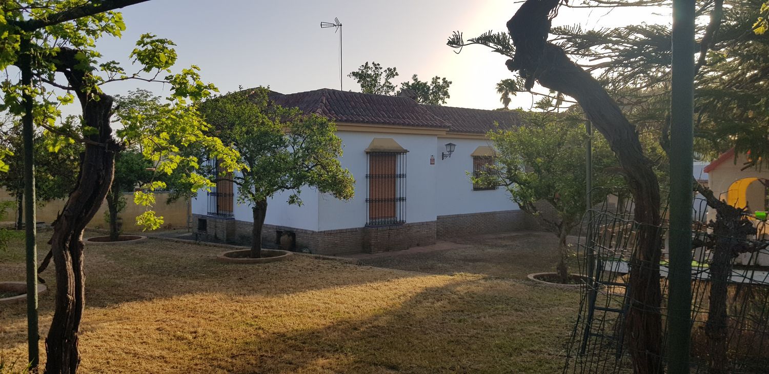 Casa o chalet independiente en Calle Calandria, 4, Carretera de Sevilla a Utrera, Carretera de Sevilla a Utrera - Foto 3