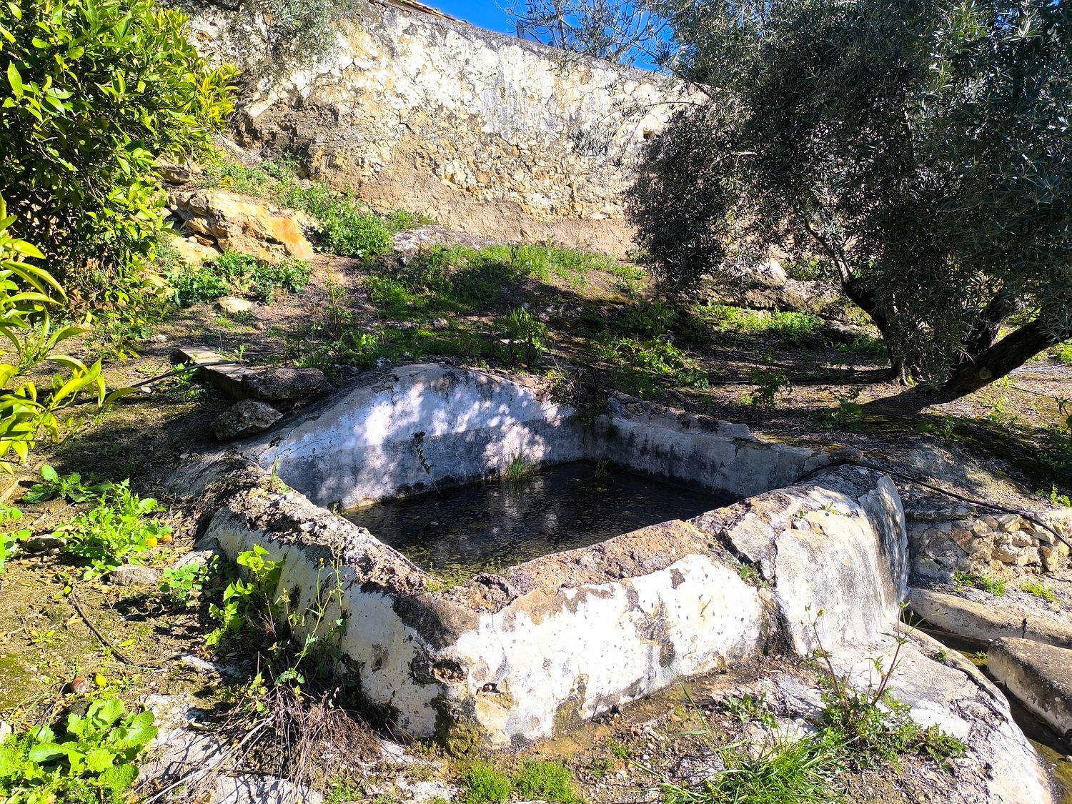 Cortijo en Via Sin Nombre s/n - Foto 31