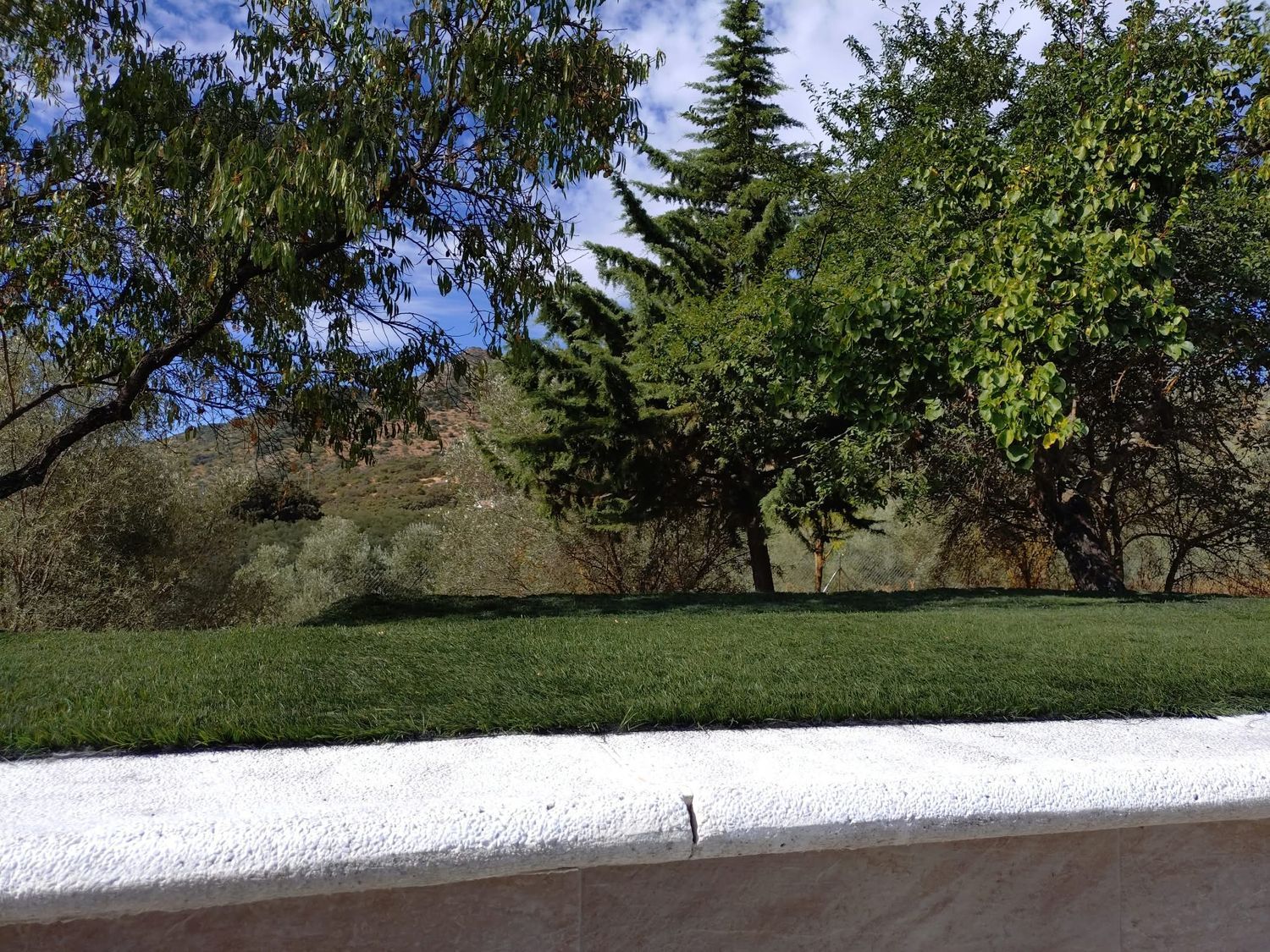 Cortijo en Cortijo en Diseminado Extrarradio, 117 - Foto 40