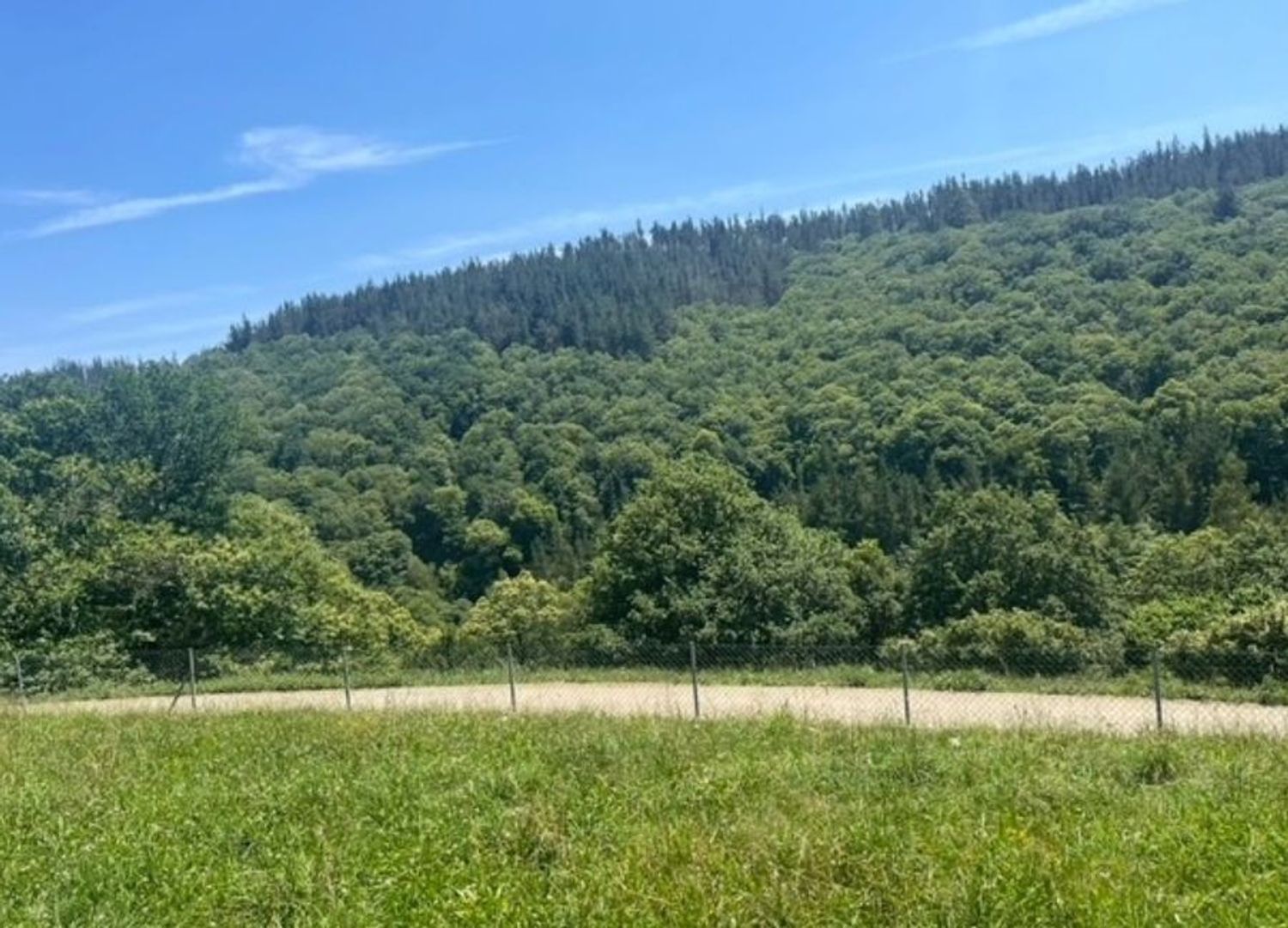 Finca rústica en Tineo - Foto 22