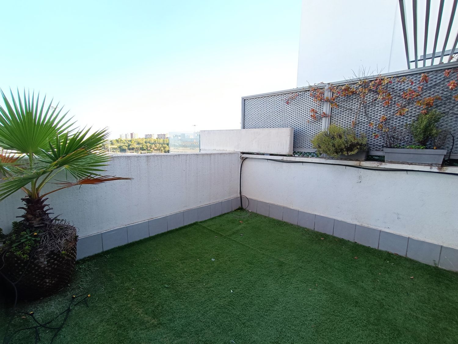 Ático en calle Pintor Ignacio de Zuloaga, 27 - Foto 13