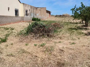 Planta baja en  Carretera de León - Astorga 340 - Foto 3