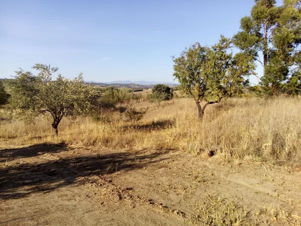 Finca rústica en camino de las laderas, 45 - Foto 3