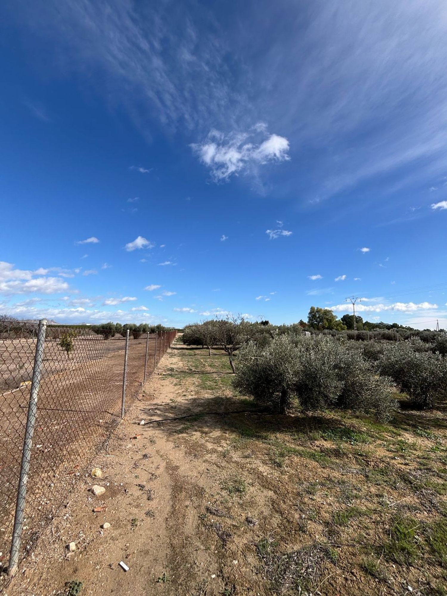 Finca rústica en calle Fc Ladrillo, 11 - Foto 11