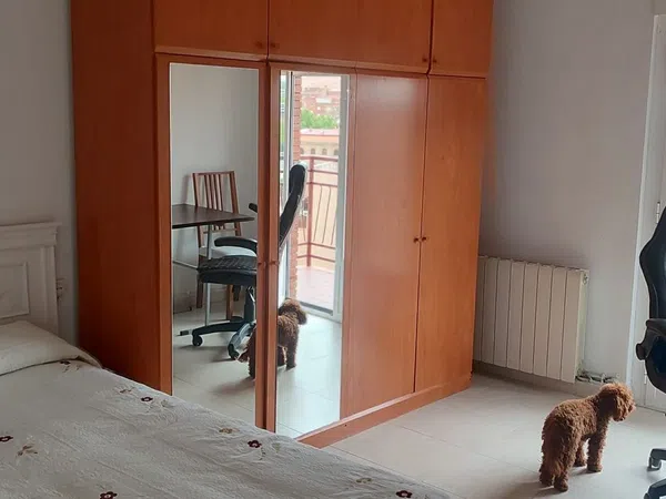 Piso en Paseo de San Vicente, 42, San Vicente-Las Úrsulas - Foto 1