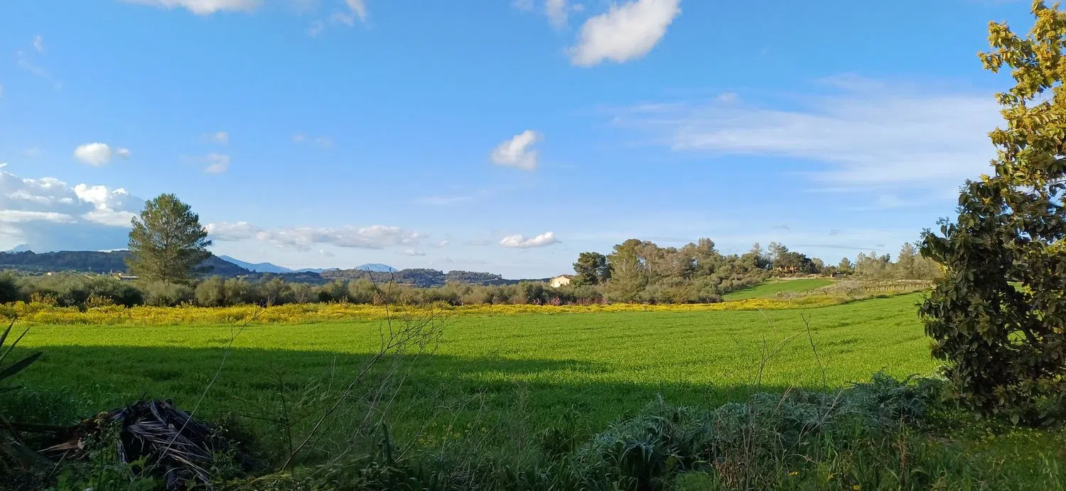 Casa independiente en calle Son Oms, 11 - Foto 21