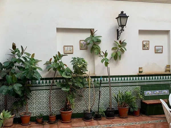 Piso en Calle Muñoz Capilla, 1, Casco Histórico - Ollerías - Marrubial - Foto 11