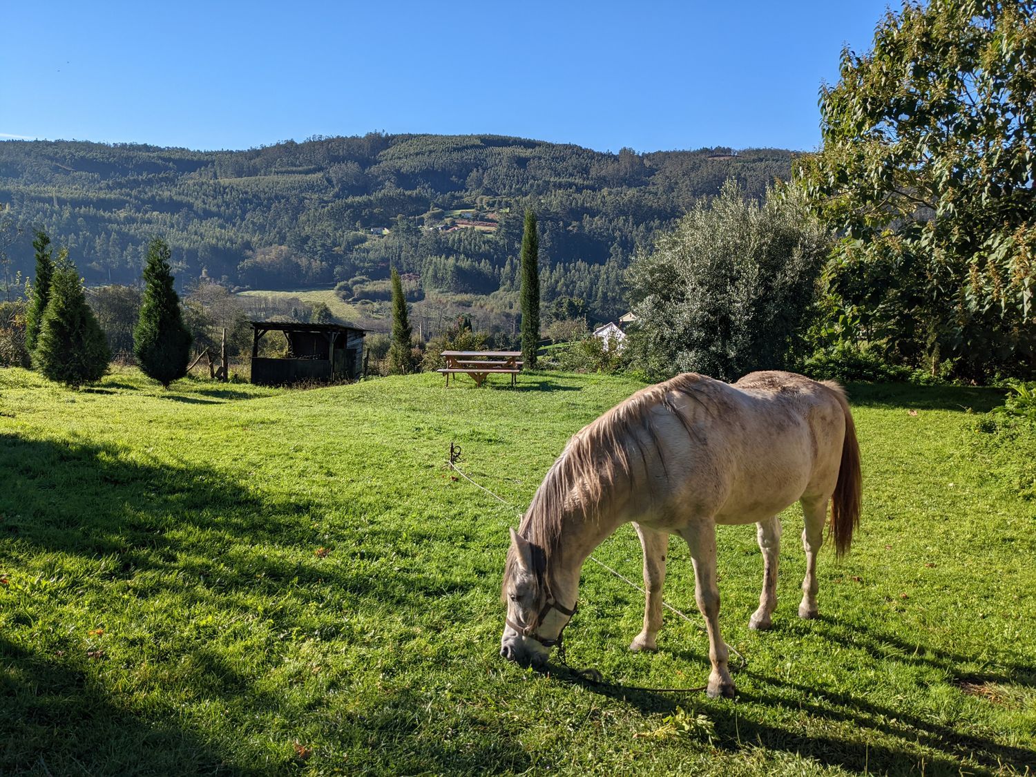 Casa rural en Gilfonxe, 6 - Foto 13