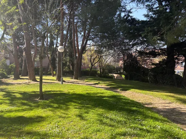 Chalet adosado en Barrio El Pinar- Punta Galea - Foto 34