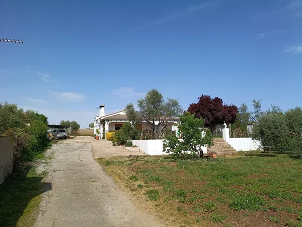 Finca rústica en Carretera los Santos de Maimona, 10 - Foto 8