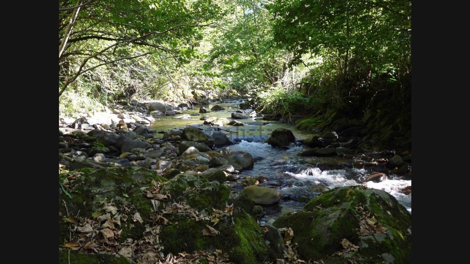 Finca rústica en Ponga, 6 - Foto 7