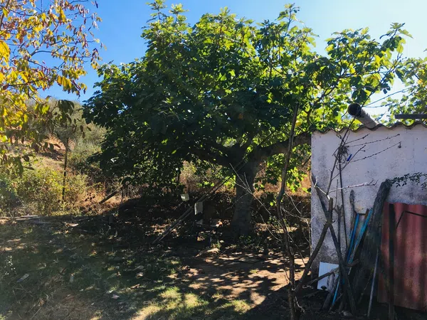 Finca rústica en Camino de las Alcobillas s/n - Foto 5