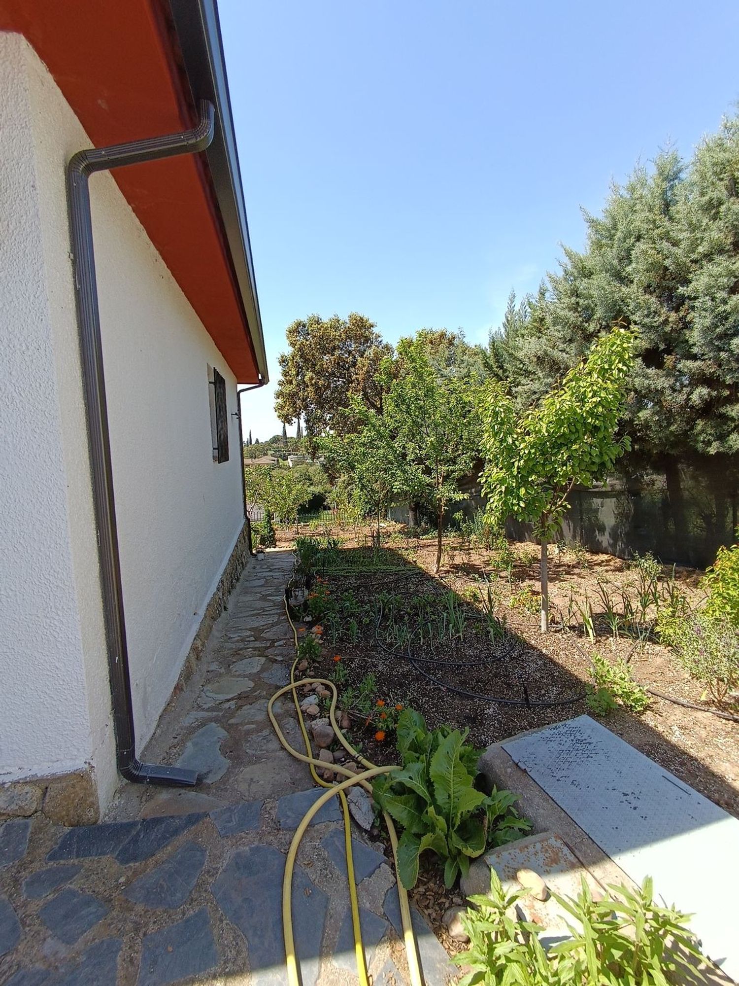 Casa o chalet independiente en Calle Tramontana, 3 j - Foto 7