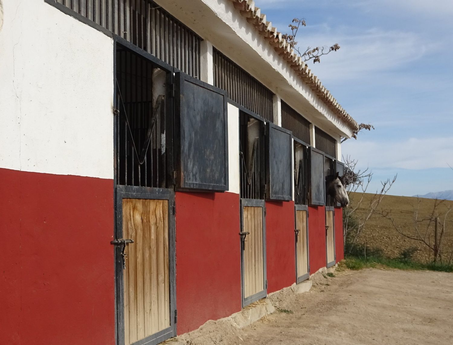 Finca rústica en Via Villanueva de la Concepción s/n - Foto 15