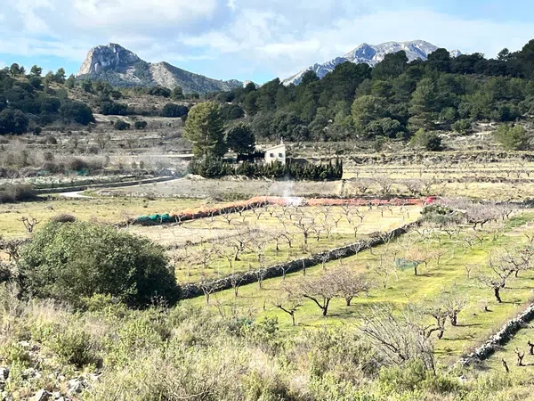 Finca rústica en Cv-752 s/n - Foto 14
