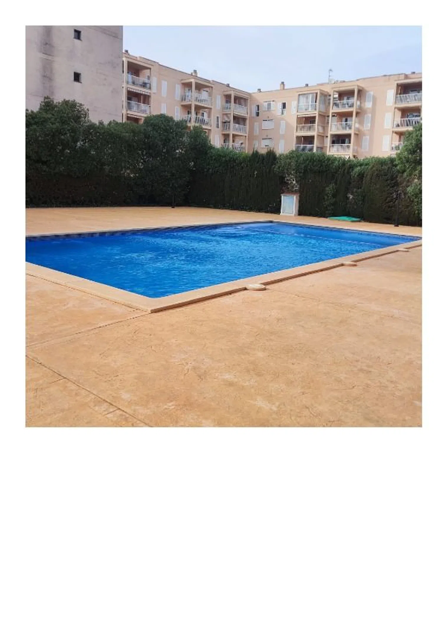 Piso en avenida de les Palmeres, 27 - Foto 15