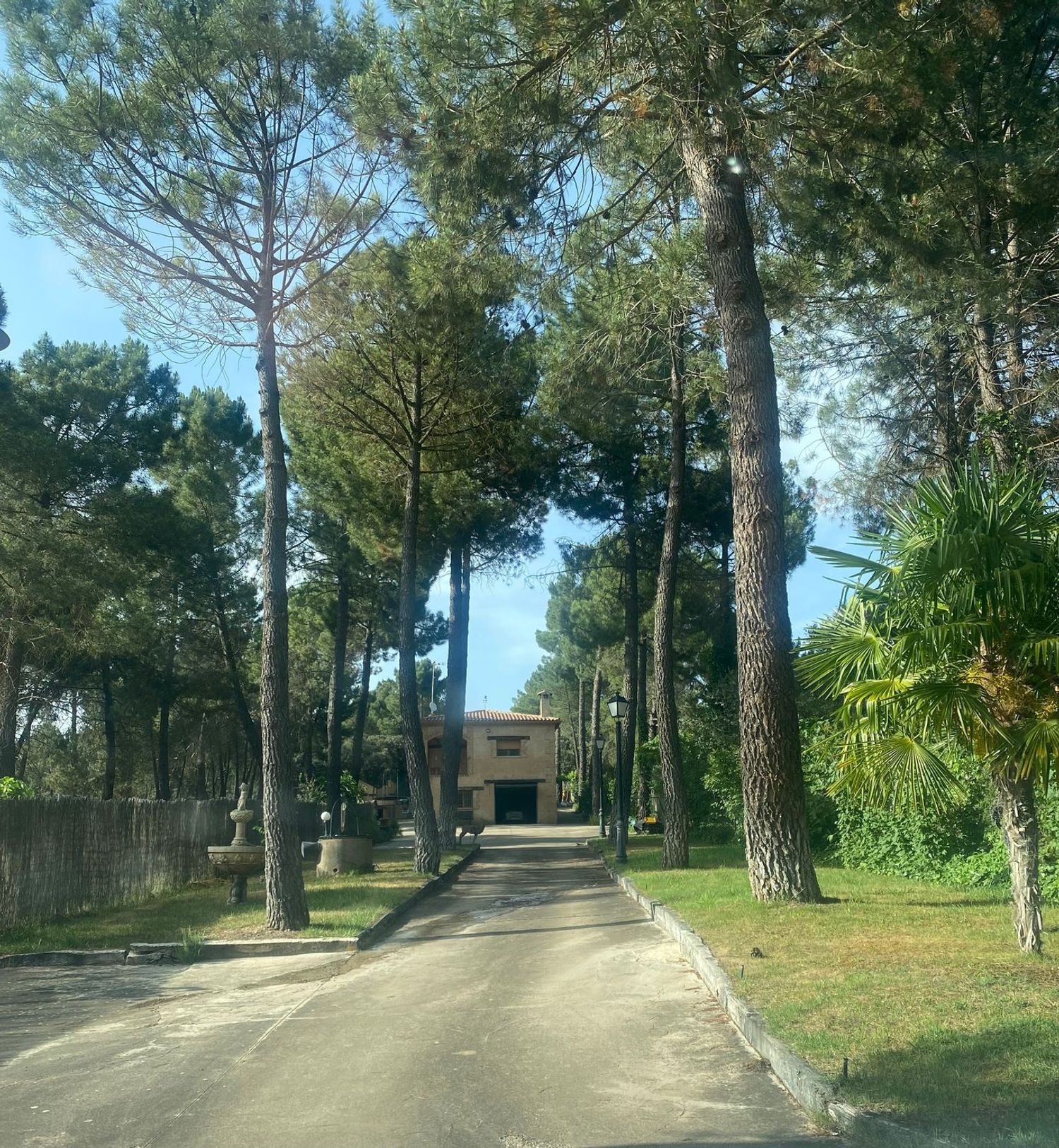 Masía en Pinar De Jabaga, 1 ,2 - Foto 2