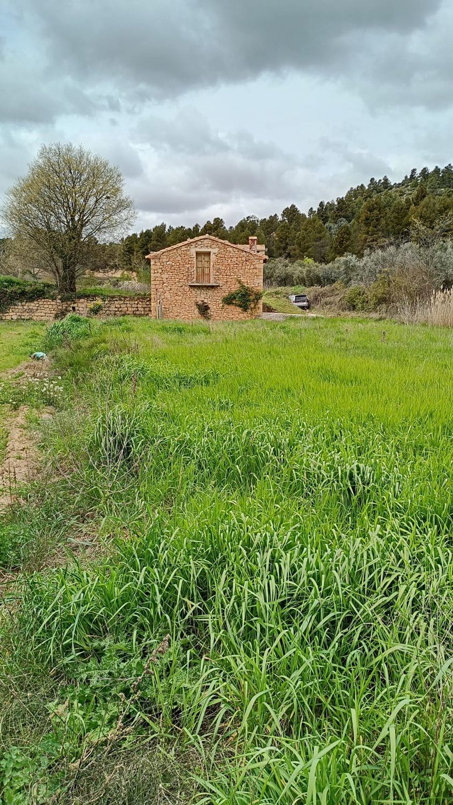 Finca rústica en Te-v-3001 s/n - Foto 5