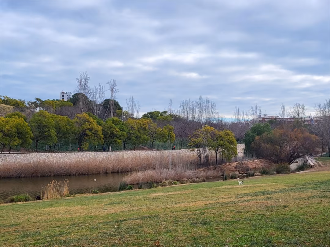 Piso en  Carrer de la Democràcia 13 - Foto 15