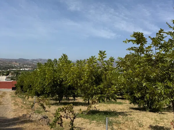 Casa rural en Camino de Campanales, 1, Las Cañadas - Foto 20