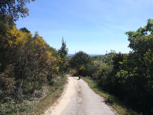 Finca rústica en Pasaje de Jamarín s/n - Foto 27