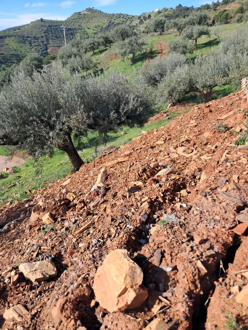 Finca rústica en  Diseminado el Cerval Pol 15 34B - Foto 16