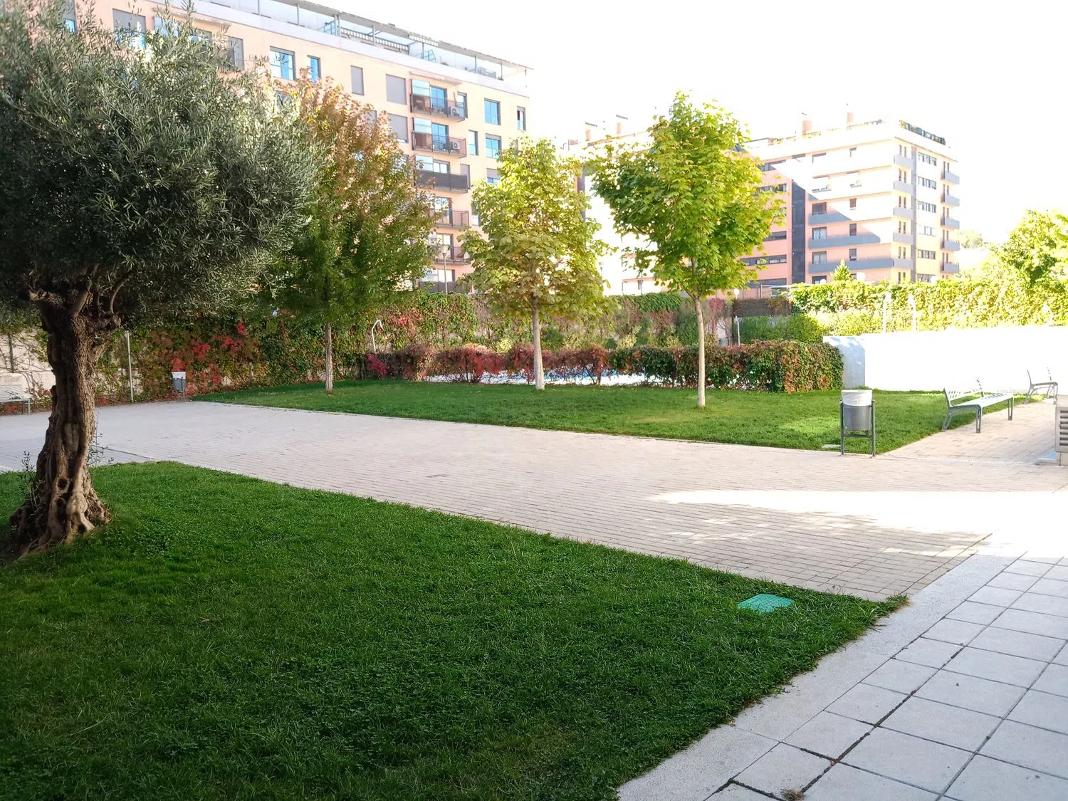 Piso en avenida del Camino de Santiago, 7 - Foto 3