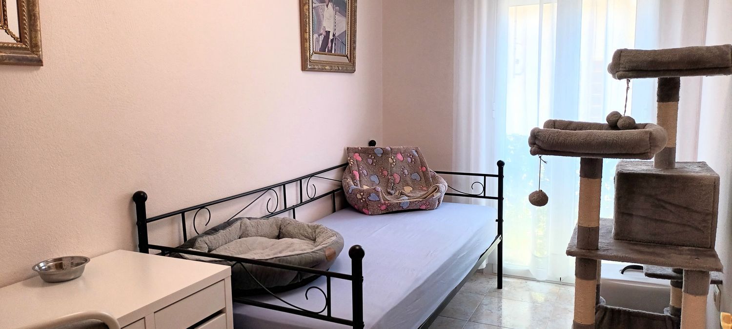 Chalet adosado en Calle Mendez Nuñez, 29 - Foto 29