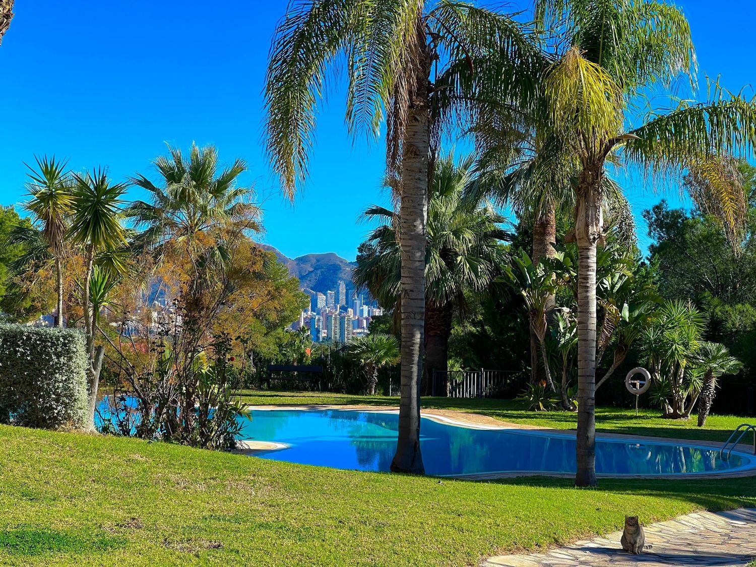 Piso en Calle Viena, 47, Golf Bahía, Golf Bahía - Foto 3